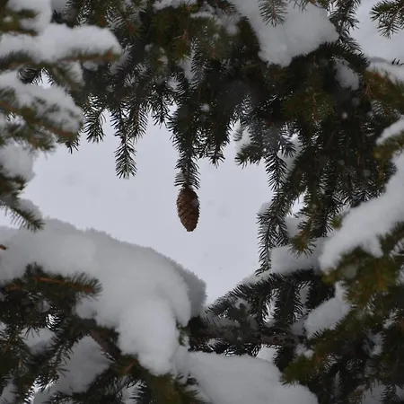 Almhaus Voelkl Chalet Ramingstein