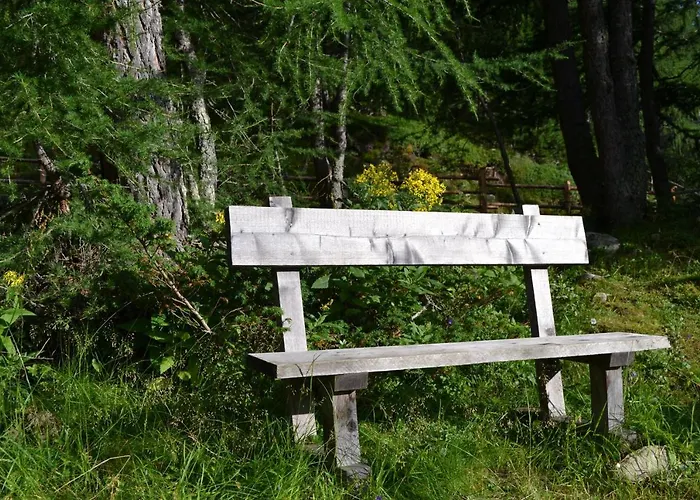 Almhaus Völkl Chalet Ramingstein