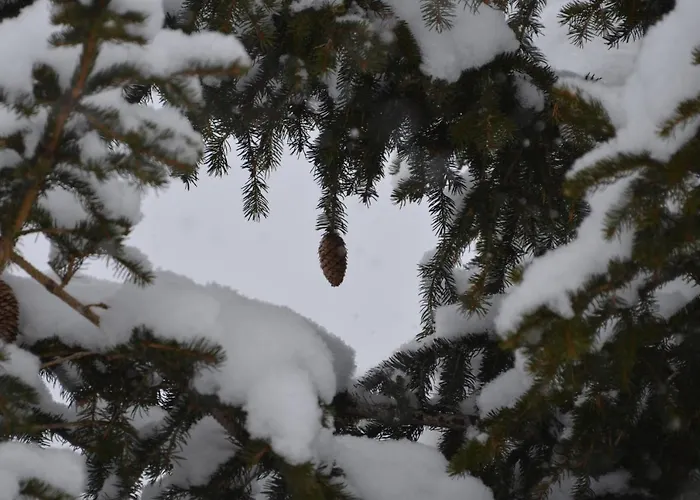 Almhaus Voelkl Шале Ramingstein